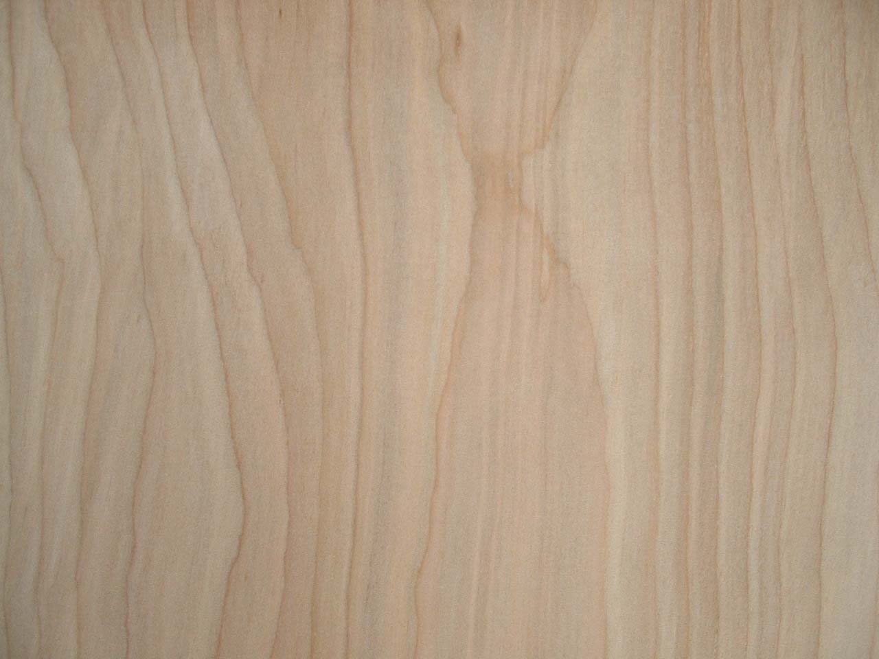 Quarter Sawn Maple Veneer - 1280x960 - jpeg Quarter Sawn Maple Veneer